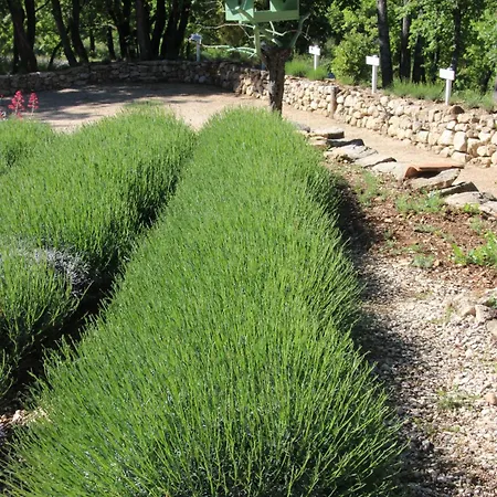 Le Hameau Fleur De Pierres , , Et Table D'hotes 3* Murs (Vaucluse)