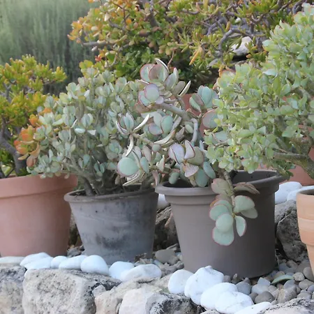Le Hameau Fleur De Pierres , , Et Table D'hotes Murs (Vaucluse)