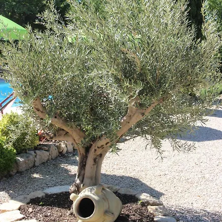 Le Hameau Fleur De Pierres , , Et Table D'hotes 3* Murs (Vaucluse)